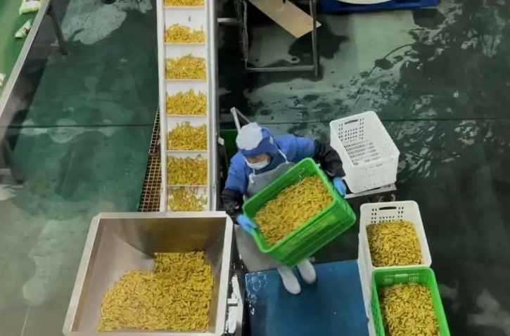 蔬菜污水處理設備-專為蔬菜清洗加工而生-1 蔬菜污水處理設備-專為蔬菜清洗加工而生-1