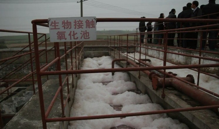 生物接觸氧化池的作用是什么？（生物接觸氧化池去除什么）-01