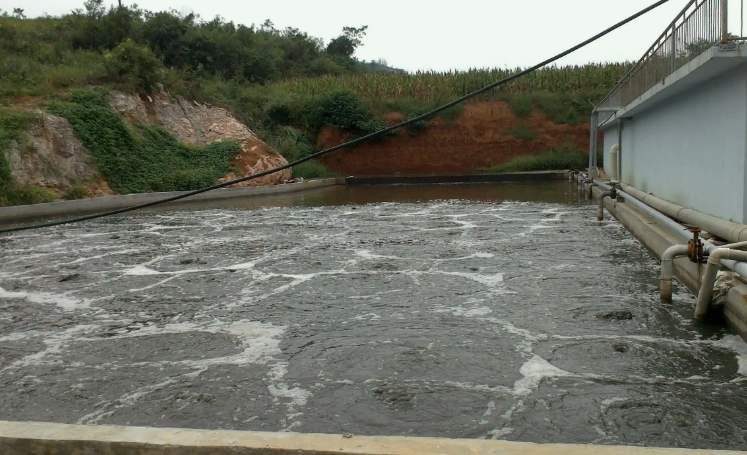 養殖場廢水處理工藝有哪些？（養殖污水便宜處理方法）